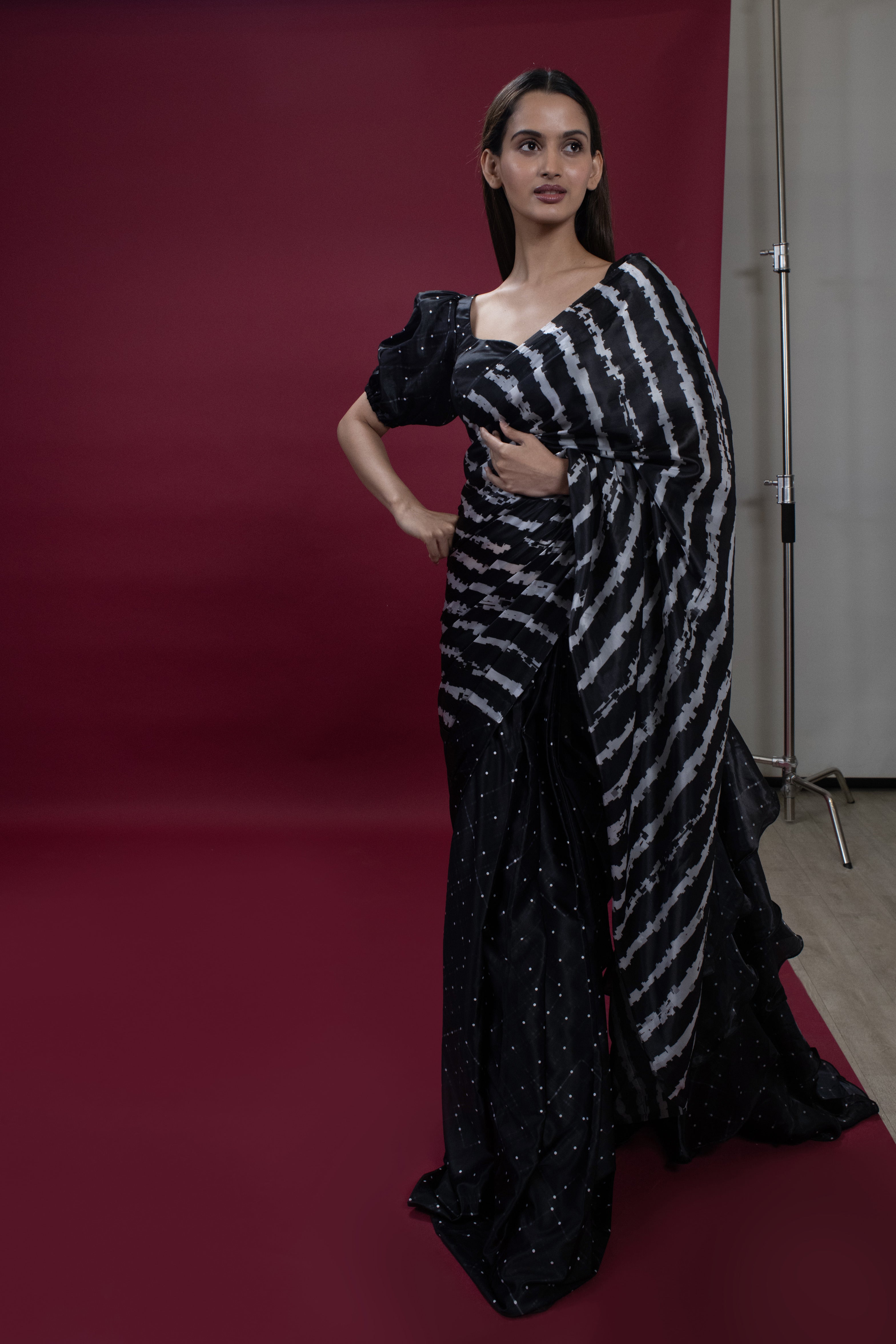 Black Stripes (Saree Only)